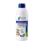 Thaistar Plus